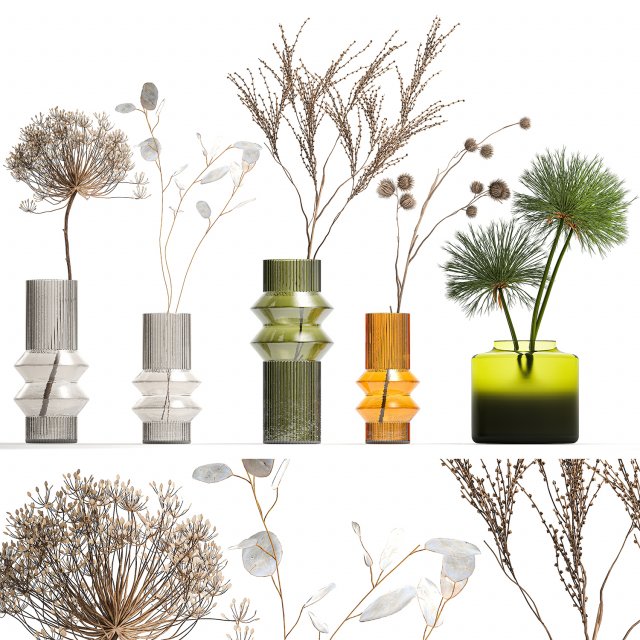 Set of dried flowers vase Thistle Heracleum Lunaria 325 Modèle 3D .c4d .max .obj .3ds .fbx .stl .blend 