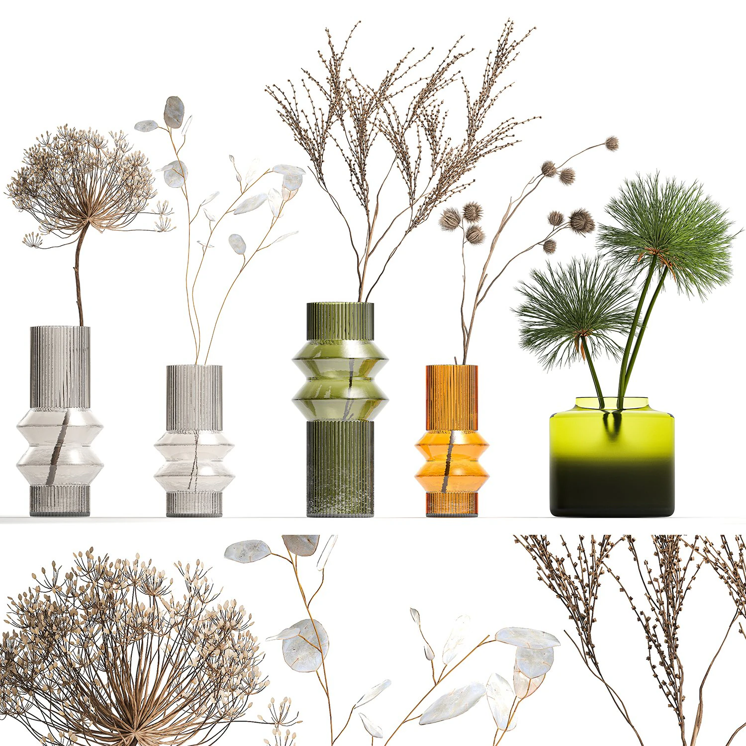 Set of dried flowers vase Thistle Heracleum Lunaria 325 3D Model .c4d .max .obj .3ds .fbx .stl .blend 