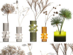 Set of dried flowers vase Thistle Heracleum Lunaria 325 3Dモデル