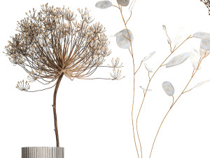 Set of dried flowers vase Thistle Heracleum Lunaria 325 Modèle 3D