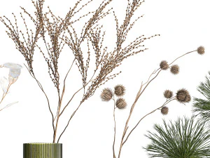 Set of dried flowers vase Thistle Heracleum Lunaria 325 3D Model