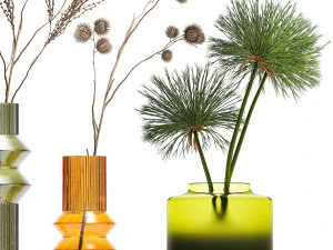 Set of dried flowers vase Thistle Heracleum Lunaria 325 3D Model