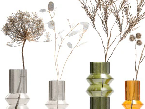 Set of dried flowers vase Thistle Heracleum Lunaria 325 3D Model