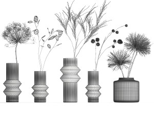 Set of dried flowers vase Thistle Heracleum Lunaria 325 Modèle 3D
