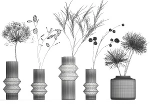 Set of dried flowers vase Thistle Heracleum Lunaria 325 3D Model