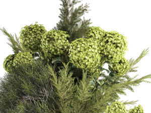 Bouquet of green flowers vase hydrangea Juniper 326 Modello 3D