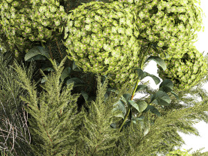 Bouquet of green flowers vase hydrangea Juniper 326 Modello 3D