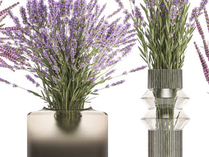 Set of bouquets of wild flowers vase lavender sage 327 3D Model