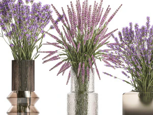 Set of bouquets of wild flowers vase lavender sage 327 3D Model