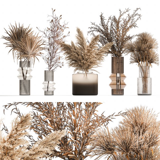 Set of bouquets of dried flowers palm leaf pampas 331 Model 3D .c4d .max .obj .3ds .fbx .stl .blend 
