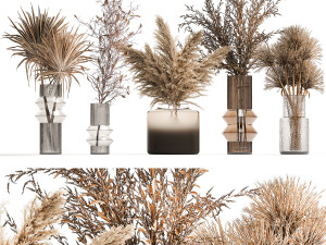 Set of bouquets of dried flowers palm leaf pampas 331 3D Model