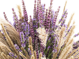 Small bouquet of wildflowers lavender pampas vase 332 Modelo 3D