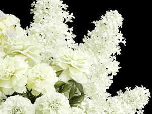 Festive bouquet of white flowers vase lilac hydrangea 336 3D Model