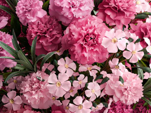 Solemn bouquet of pink flowers vase lilac hydrangea 337 3D Model