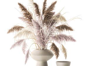 Bouquet of dried flowers vase cortaderia white pampas 338 3D Model