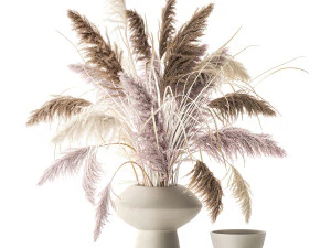 Bukiet suszonych kwiat&oacute;w wazon cortaderia biała pampas 338 Model 3D