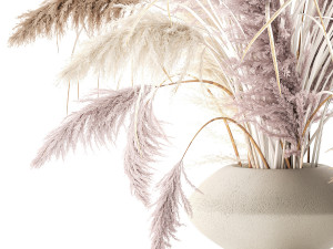 Bouquet of dried flowers vase cortaderia white pampas 338 3Dモデル