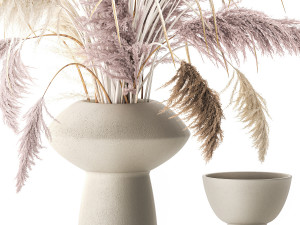 Bouquet of dried flowers vase cortaderia white pampas 338 3Dモデル