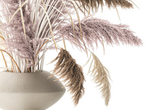 Bouquet of dried flowers vase cortaderia white pampas 338 3Dモデル