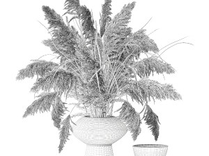 Bouquet of dried flowers vase cortaderia white pampas 338 3Dモデル