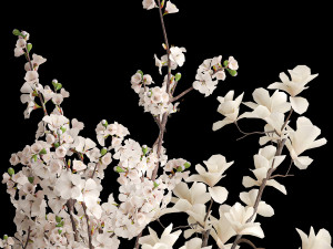 White sakura bouquet cherry blossoms Magnolia 340 3D-Modell