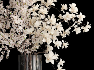 White sakura bouquet cherry blossoms Magnolia 340 3D-Modell