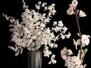 Bukiet białej sakury z kwiatami wiśni Magnolia 340 Model 3D