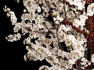 White sakura bouquet blossoming cherry branches Ilex 339 Modelo 3D