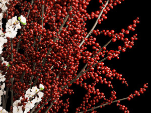 White sakura bouquet blossoming cherry branches Ilex 339 Modelo 3D