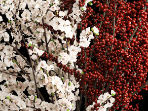 White sakura bouquet blossoming cherry branches Ilex 339 Modelo 3D