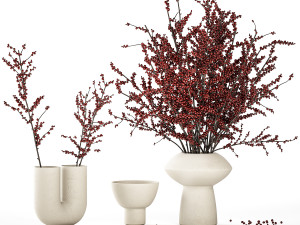 Beautiful bouquet of branches with red Ilex berries 341 3D Модель