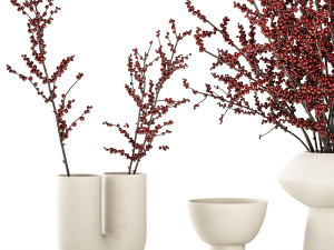 Beautiful bouquet of branches with red Ilex berries 341 3D Модель