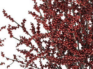 Beautiful bouquet of branches with red Ilex berries 341 3D Модель
