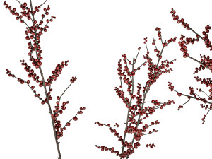 Beautiful bouquet of branches with red Ilex berries 341 3D Модель
