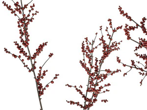 Beautiful bouquet of branches with red Ilex berries 341 3D Model