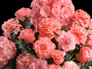 Bouquet of pink flowers roses peony hydrangea 342 3D Model