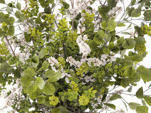 Bouquet of cherry blossom branches with green leaves in a vase 344 3D Model