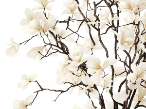 White bouquet of branches of blooming magnolia vase 345 3D Модель