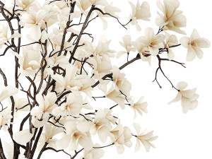 White bouquet of branches of blooming magnolia vase 345 3D Модель