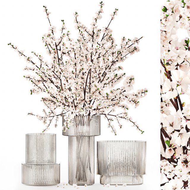 White bouquet of sakura cherry blossom branches 345 3D Model .c4d .max .obj .3ds .fbx .stl .blend