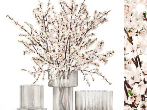 White bouquet of sakura cherry blossom branches 345 3D मॉडल