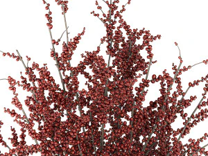 Bouquet of branches with red berries ilex vase 347 3D Model