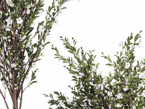 Flowering trees white sakura cherry outdoor pot 1471 Modèle 3D