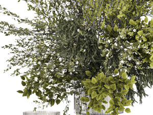 Lush bouquet of cherry blossom branches with sakura leaves 348 3D Модель