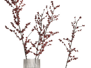Minimalistic bouquet of branches with red ilex berries 350 3D मॉडल