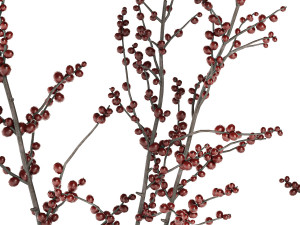 Minimalistic bouquet of branches with red ilex berries 350 3D मॉडल
