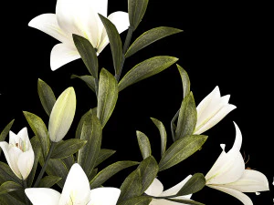 White bouquets of flowers hydrangea lilies glass vase 355 3D Model