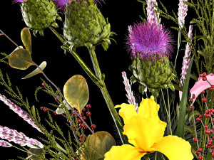 Bouquet of flowers branches thistles irises Ilex Lavender 356 Modelo 3D