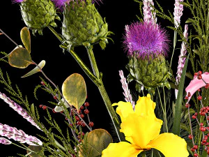 Bouquet of flowers branches thistles irises Ilex Lavender 356 3D Model