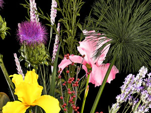 Bouquet of flowers branches thistles irises Ilex Lavender 356 3D Model